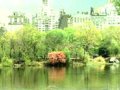 開放的城市公共活動(dòng)空間??美國城市中央公園
