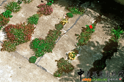 2009ASLA居住區(qū)設(shè)計(jì)類榮譽(yù)獎(jiǎng):裂縫花園