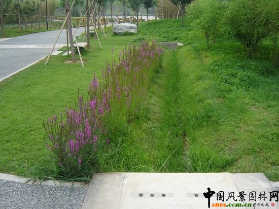 綠地排水系統