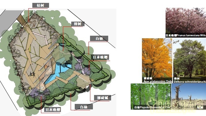 鏡園 張建林 雨水收集系統(tǒng) 園林植物 設計 園林 景觀
