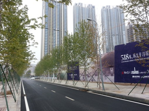 盛世綠源 夏季達沃斯會議 紅楓供應商 綠化招標