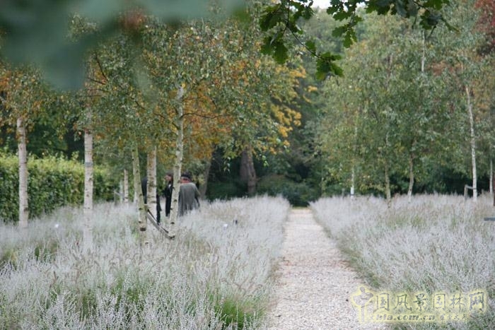 De Nieuwe Ooster公墓