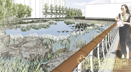 住宅景觀獎 園冶杯 濕地公園 景觀設計