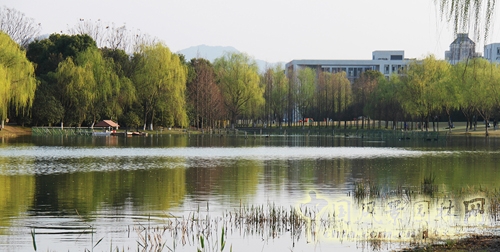 浙江大學紫金港校區 西溪風景區 浙江大學