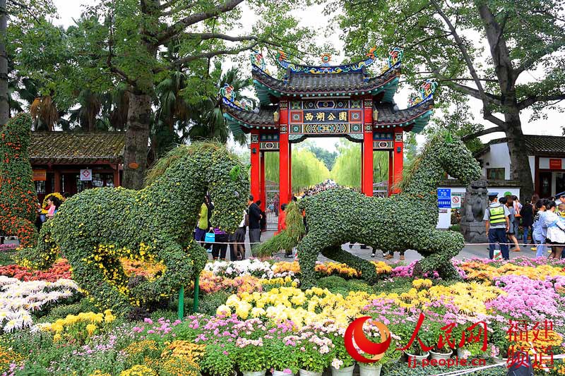 西湖公園菊展創歷屆規模之最 首次亮相大型造型藝菊