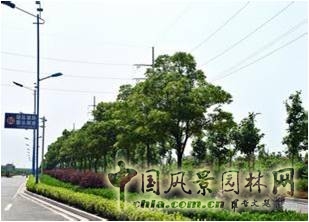 張一成：綠色城市核心理念及規(guī)劃設計重點