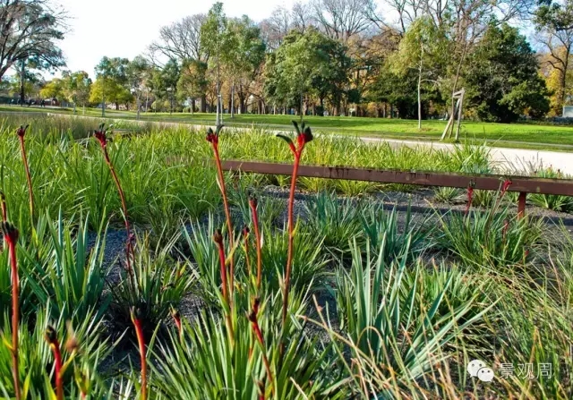 愛丁堡雨水花園案例