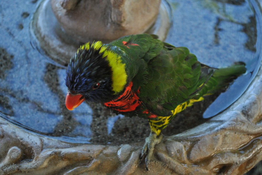 【美國考察】雷丁和舊金山站:感受那些別致的景觀設計