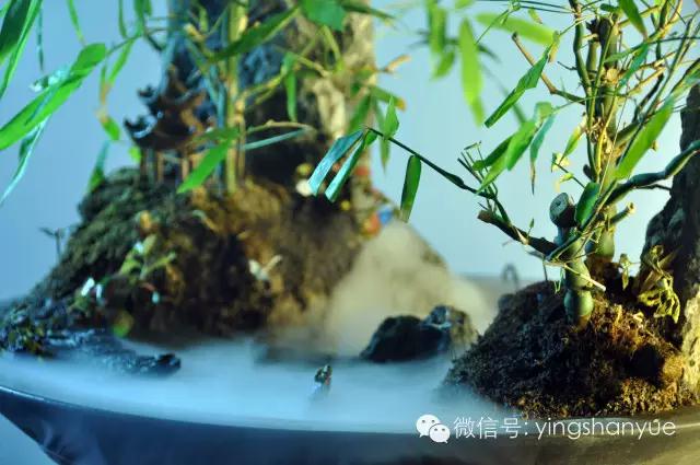 墨爻盆景作品：家鄉美景——《漢上夢溪》