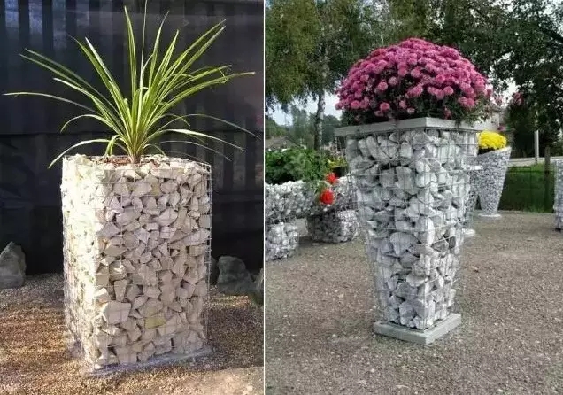 石籠與植物搭配大全