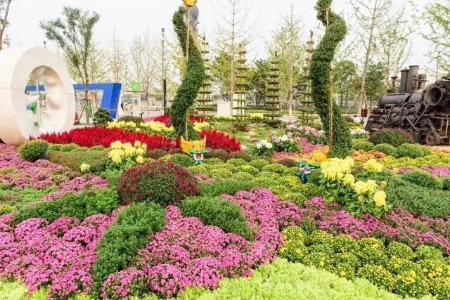北京花木公司：圓滿(mǎn)完成唐山世園會(huì)國(guó)際精品菊花展工作