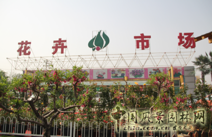 熱烈祝賀北京花鄉(xiāng)花木集團(tuán)成為中國風(fēng)景園林網(wǎng)會員單位
