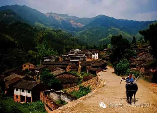 對馮驥才先生批評傳統(tǒng)村落和古村旅游發(fā)展問題的不同看法