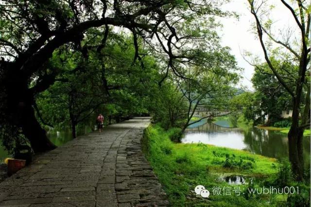 對馮驥才先生批評傳統(tǒng)村落和古村旅游發(fā)展問題的不同看法