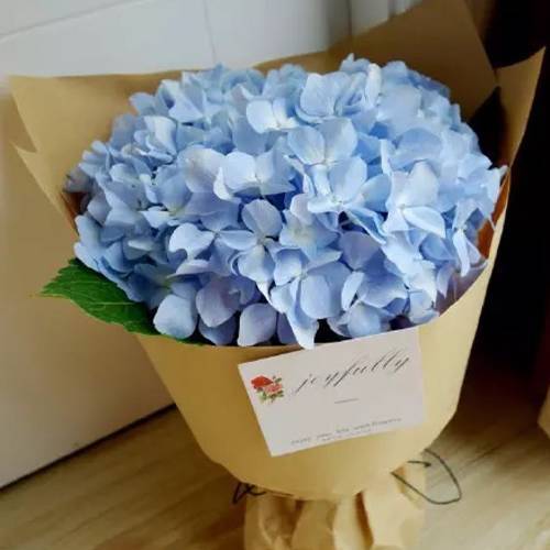 請(qǐng)您欣賞：美麗的球形花卉
