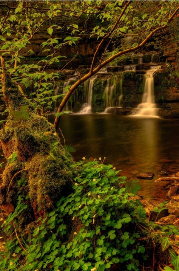 歐洲最美麗的國家公園