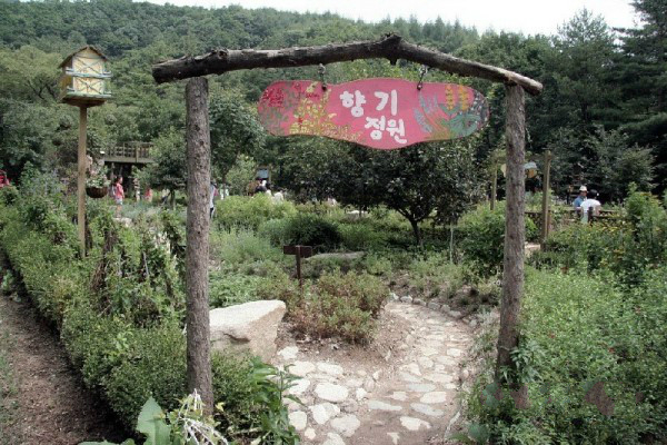 締造通話——韓國香草王國農(nóng)園