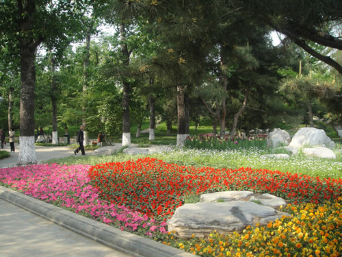 4月10日北京精品園林考察，火熱招募中！