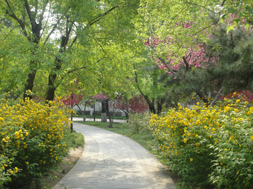4月10日北京精品園林考察，火熱招募中！