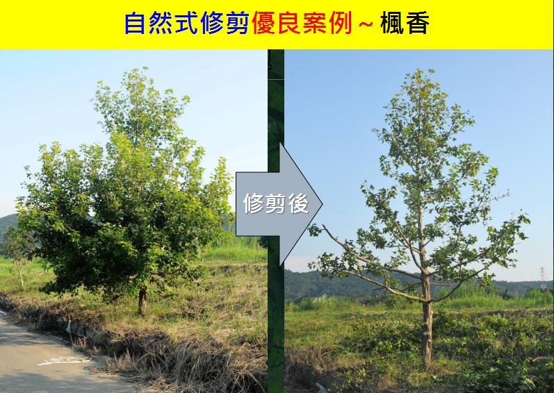 地產(chǎn)園林國際論壇李碧峰演講實錄