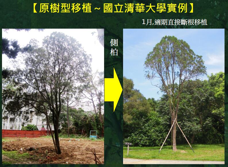 地產(chǎn)園林國際論壇李碧峰演講實錄