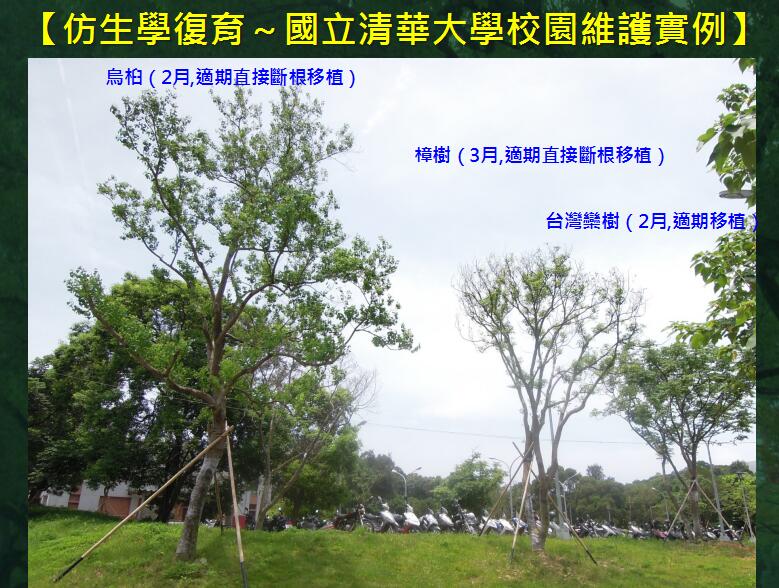 地產(chǎn)園林國際論壇李碧峰演講實錄