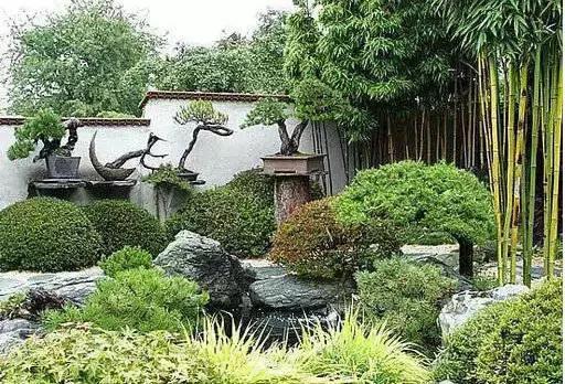 盆景——從園林中走出來的造型藝術(shù)