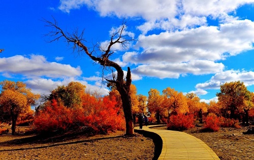 內蒙古5月新增一個世界地質公園