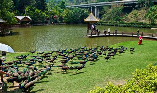 國內(nèi)最美的森林公園你去過幾個？