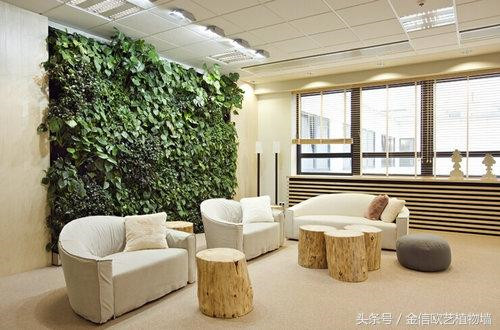立體綠化植物墻為何這么受歡迎？