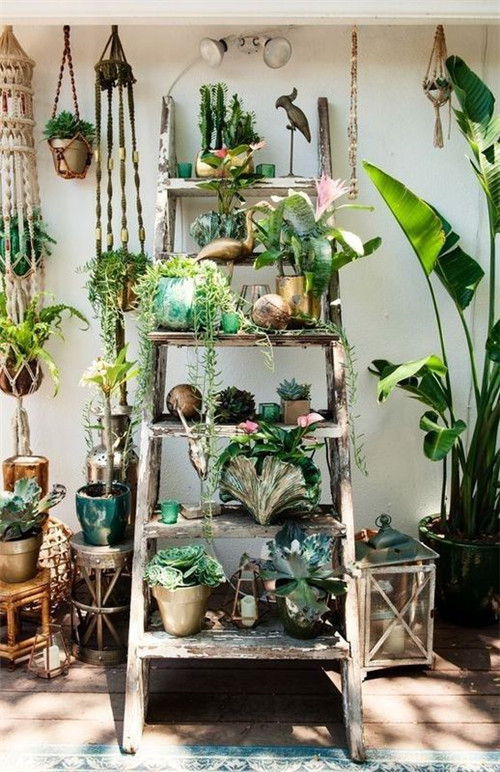 植物造景：如何布置你的陽臺？
