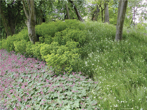重新綻放出迷人魅力的水晶宮公園