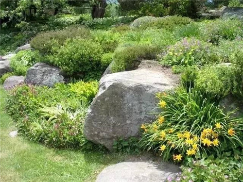景觀設(shè)計(jì)：石頭縫里的景觀
