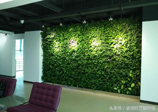 植物墻如何給城市降溫，遏制熱島效應呢？