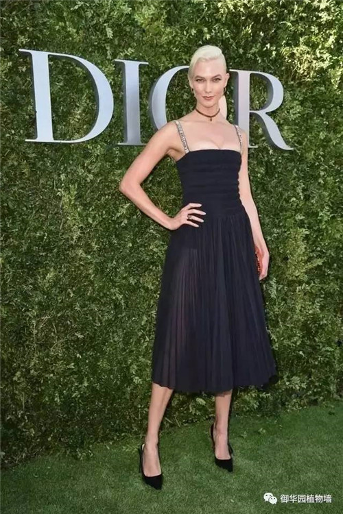Dior70周年展，植物墻又出風(fēng)頭了！