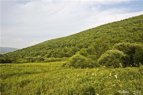 柳樹溝森林公園讓你找到回歸大自然的感覺