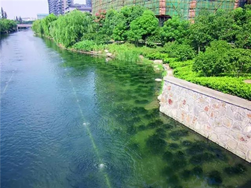 治理河流生態(tài)、 復活河流生命