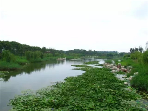 治理河流生態(tài)、 復活河流生命