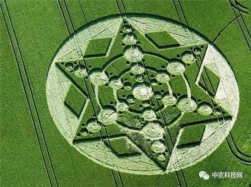 國(guó)外創(chuàng)意農(nóng)業(yè)的4種成功類(lèi)型