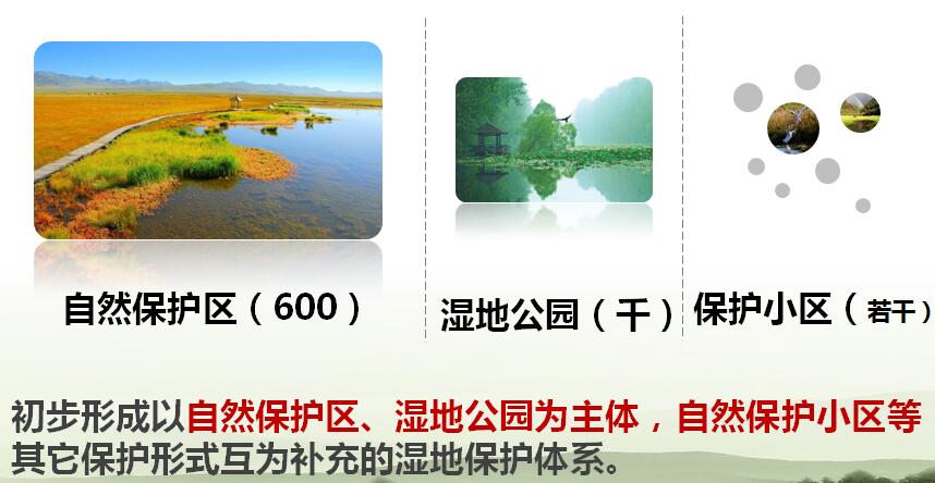 陳克林：爭(zhēng)創(chuàng)天藍(lán)、地綠、水凈國(guó)際濕地城市