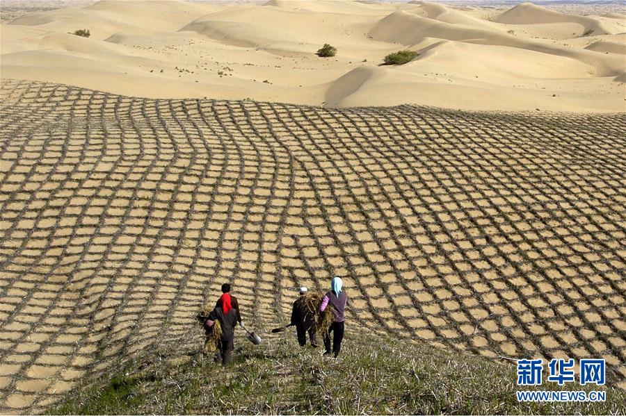 我國多地實行生態(tài)修復(fù)工程收到成效