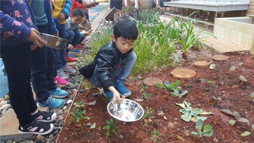 根植快樂認知和體驗的環(huán)境設(shè)計：幼兒園改造