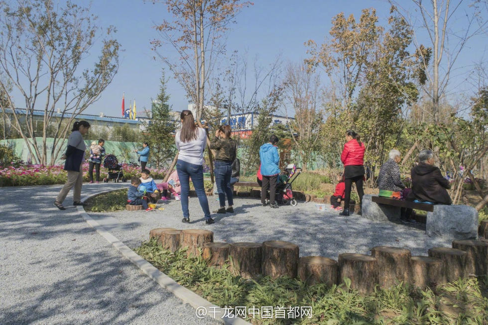 北京新街口再添城市森林公園 恢復宜居環(huán)境