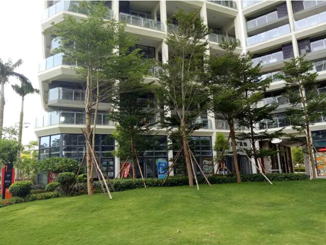 專業(yè)獎：海南省瓊海市和順小區(qū)一期改造工程