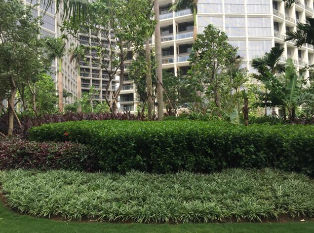 專業(yè)獎：海南省瓊海市和順小區(qū)一期改造工程