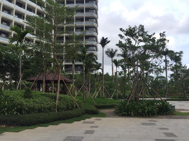 專業(yè)獎：海南省瓊海市和順小區(qū)一期改造工程