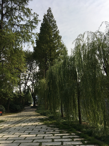 園冶杯專(zhuān)業(yè)獎(jiǎng)：滁州內(nèi)城河景觀改造設(shè)計(jì)