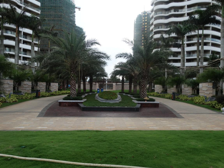 專業(yè)獎(jiǎng)：白金海岸二期園林景觀綠化工程