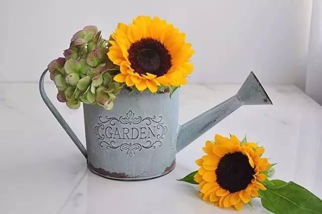 秋日花園里的小情調