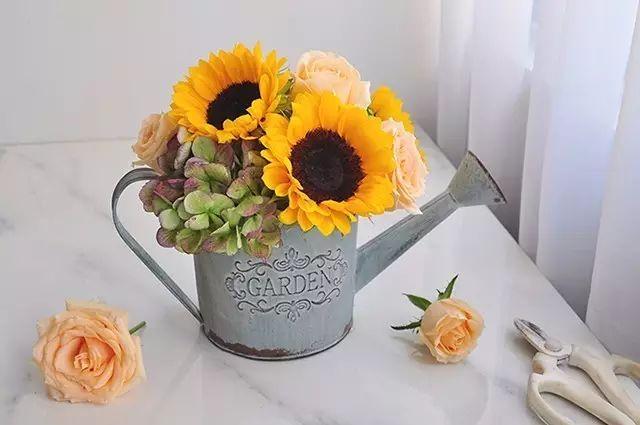 秋日花園里的小情調